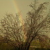 rainbow :) Jasperluver11 photo