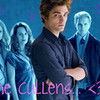 the cullens angel_cake photo