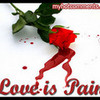 Pain withen the love blackwithpink photo