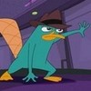 This is Perry the Platypus from Phineas and Ferb joeyqueen photo