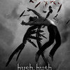 hush hush love_VA photo