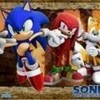 Team Sonic okamiki_ photo