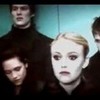 vampires in a lift xtwihard-1x photo