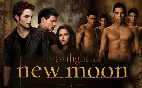  I can understand your point with Spotlight reminding Du of New Moon but the song sounds most appropreiate for the scene it was placed in Twilight.