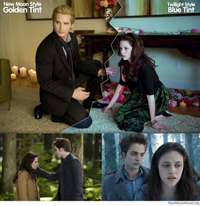  i think that the new moon movie will be better than twilight because: - we will get to see más jacob and alice on it - the style of tint and the makeup will be better - new characters - más action - and werewolfes - and in an interview it says that Edward will give Bella a diferent ultimatum than the wedding thing (and i really want to know what it is)