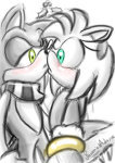 I dont have problem with amy but i love sonamy.
Realy i dont are fan of sonic,kill sonic !!!
iam fan of shadow the hedgehog !!!
XD
atte.rouge the bat