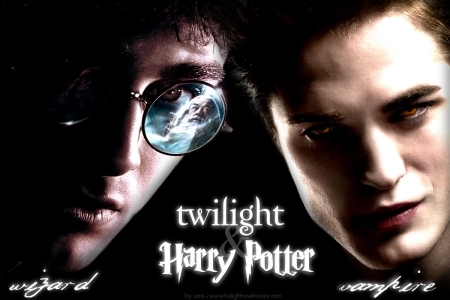 I personally think it's a tie. I went to see Harry potter and the half-blood prince and it was really good! On the other hand, Twilight has a HUGE fan list! I can not predict the future, but I honestly think it might be a really close call. We'll just have to wait and see, now won't we? 