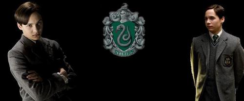  Where आप want to be may be crucial :). If आप like a certain house than आप approve of some (if not all) its 'traits', which makes आप somewhow a part of that house. I honestly think that I would be a Slytherin. That's what most tests say and I believe it makes sense. I consider Ravenclaw as well, but I prefer to learn things which will be of some use and not learning for learning's sake. I certainly am not some ब्रेव fool who would jump into the आग to save others. Hufflepuff's traits don't suit me either. Besides, I am on the evil side with my whole black (or silver and green in this case) heart, so the Noble House of Salazar Slytherin is the only choice :)