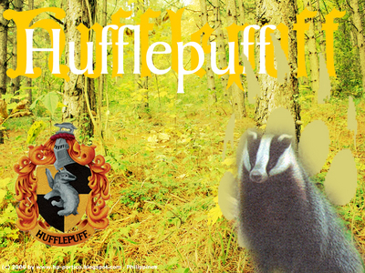  I wanna be in Gryffindor,because of the peeps, but i'd be in Hufflepuff. Well,like hagrid says in the first book, better hufflepuff than slytherin! ''Shuddder at the thought of bein in slytherin''