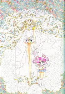 Who really is Chibi-Chibi?

Anime: A star seed of Galaxia.
Manga: The disguised form of a future incarnation of Usagi/Sailor Moon, Sailor Cosmos. (Look it up! ^_^)