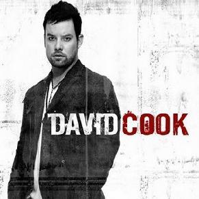  My 'David Cook' album. The rest of the albums in my house were actually owned por my parents.... ...Of course I still listen to it