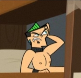  well at first i thought it was going to be gay cause the name was total DRAMA island.also cartoon network's shows where retarted at the time.i mean COME ON!!squille boy?!?GAY!!i hated it.(if anda like it i don't mean to make anda mad)that's why i STOPED watching cartoon network for a little bit and started watching nick.on father's hari i saw ep.2.(i never saw ep.1 for A LONG time)and it was awsome!and i liked it so much becouse they went into another level,like kissing,cussing,saying crap,and nudity.and yes becouse it had DRAMA in the name i thought it would be stupid.and yes if i did not watch it, i would of never fallen in Cinta with duncan,i WOULD be a different person today.(*DROOLS*ahh...he's SOOO HOT!)