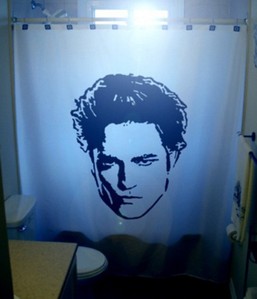 Twilight Shower Curtain for sure. Say you have guests over, they're not going to want to walk into the bathroom and see a giant Edward head staring at them!!