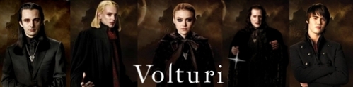  If te didn't read the series,Of course te didn't know who is the Volturi. The Volturi is the Royal Family of Vampires.They're are the Elders o Council of the Vampiri#From Dracula to Buffy... and all creatures of the night in between. where The Cullen Family is one. They are the elders of the Vampiri#From Dracula to Buffy... and all creatures of the night in between. in the Twilight Series. They are the reason why the other Vampire exist in the story. The main Volturi is:Aro,Marcus,Caius,Jane and Alec.but,there are many volturi.You can read their names in the back of the breaking dawn book.and Renesmee didn't unisciti them.they are very important in the story,They are one of the evils who wants to destroy Renesmee.But,in the end they failed.The Cullen Family won.this is in BD...xD