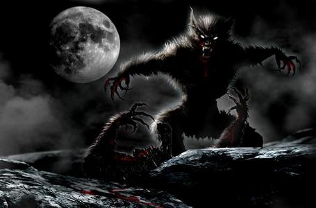 I was a vampire fan until they became overhyped. They are seriously overplayed in like every horror movie these days. Werewolves are much more interesting and the fact that they don't ever talk in a human voice like vampires too makes them that much more horrific and fun to watch!