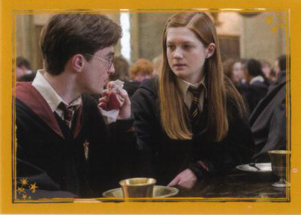 What do you think of the Harry/Ginny tandem?