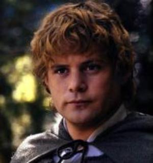 My favourite character is definately Sam! He's so amazing and Frodo wouldn't have gotten anywhere without him.