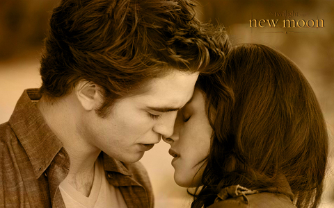 Why? Yes she loves Jacob....but she's IN love with Edward...big difference. :)