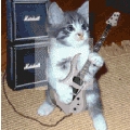  That is one cool cat!! LOL XD