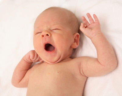  Why are yawns contagious?