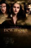  OMG!!arn't anda just madly exited about the new moon movie!!!???