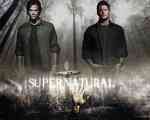  doe's anybody tell me plz where Du can gets clips of Supernatural and how Du can make the video thanks?