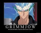  When Grimmjow goes into Bankai form what animal is he?