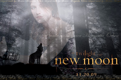 Do you think that New Moon will have the same look and feel as Twilight since it will have a different director?