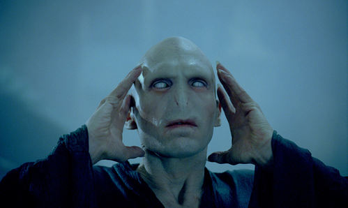  What is the most frightening face Voldemort was described having? (in the book Half - Blood Prince)