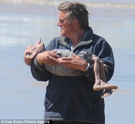 What do you think about this new picture of dead Dobby from Deathly Hallows film?