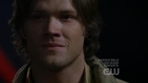 What did tu like most on Sammy-Jared.....His eyes? His hair? His Smile? His body? His intelligence? His sensitivity? His sweet heart? o something else?=)=)