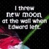  When i first read New Moon and found out that Edward left i cried too... It was soo sad... Ive read it a couple of times.. Since i have the book .. i usually skip that bit. coz i cry every time..