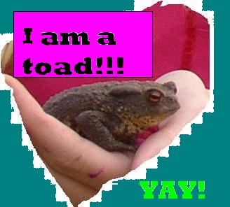  Im a toad... in a heart. *points at icon*