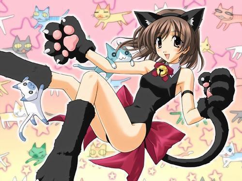  In ¡what ऐनीमे does this cat girl appears?(im dying to know)