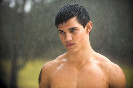 im team edward but i like taylor lautner more than i like rob hes so much hotter too. i am SO looking forward to seeing jacob without his shirt on during almost all of new moon!