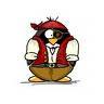  Well, I'm already a duck, but I would like to be a pingüino, pingüino de pirate!