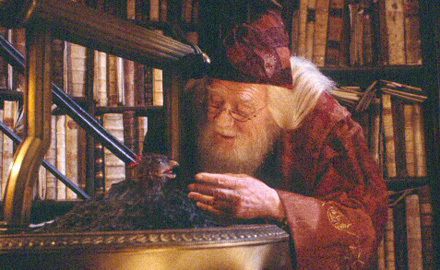  yep! it's Albus Percival Wulfric Brian Dumbledore!