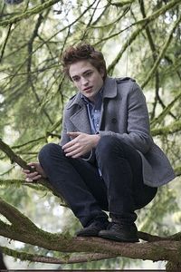  Who else cracks up at this:The scene in the Twilight movie where Edward's walking away from Bella in the hallway,and his butt's bouncing around? >XD I'm not dissing on Edward/Robert in the slightest;I just thought it was hilarious.