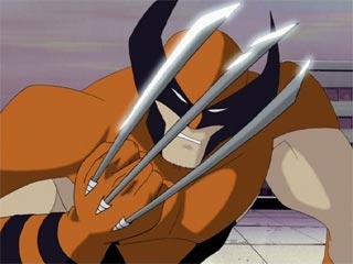  W-Wolverine