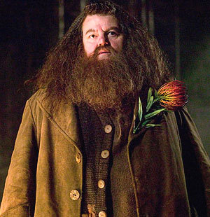 Hot (Expecto Patronum!)

Hagrid (with his hair done)