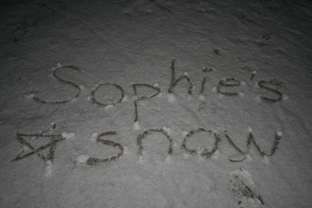  xin chào Sophie, I have some snow for you!:P