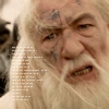  Though this one's pretty funny too....I'm still looking for Gandalf's "duh" look in the council of el