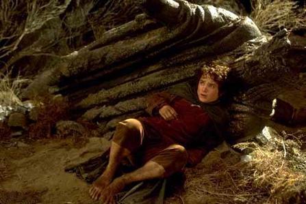 LOLZ frodo had the same look on his face when shelob stung him!