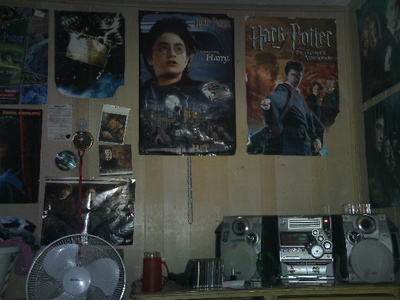  THANKS Heather! I like to think so but it's sort of bit compared to my old room lol! HP #2