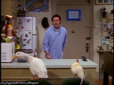 Chick, Duck and Chandler! 
Next one - Monica with her big hair (like Diana Ross or Weird Al :D)