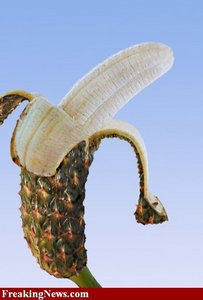  232 - Lets make a tropical matunda cocktail to celebrate,Banana and pineapple should do the trick !! lo