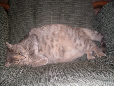 haha i love that picture and i dont know why but she rolled over a bit and all her fat just speard ou