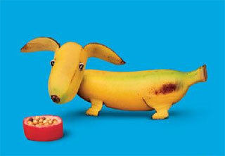 That matches the necklace just great! The mini bananas are great and here's a mini banana puppy too! 