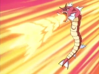  i hate fighting type there attacks knock off my lovely skitty i don't hate magikarp at all i just