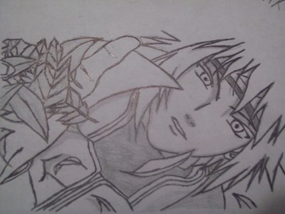  well thanx hidanfan for the comment!!!! and here Du go cici!!!! this is one of my Favorit drawings